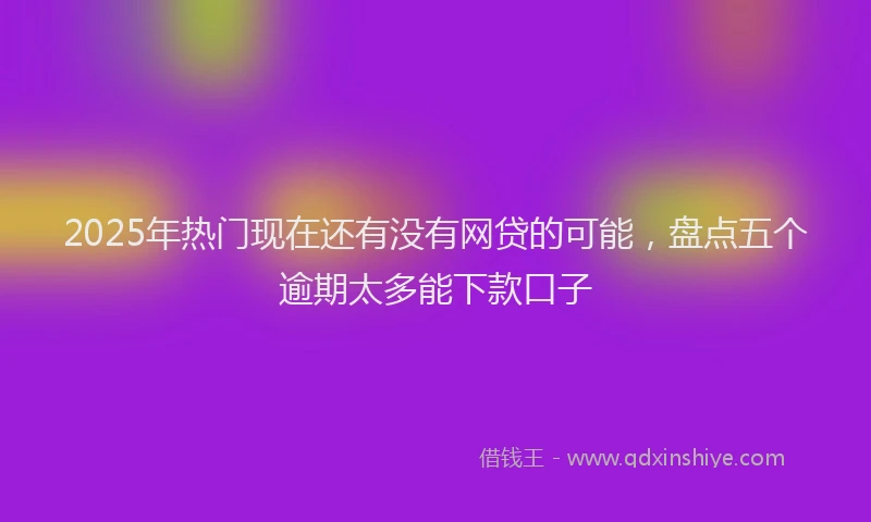 2025年热门现在还有没有网贷的可能，盘点五个逾期太多能下款口子