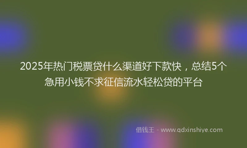 2025年热门税票贷什么渠道好下款快，总结5个急用小钱不求征信流水轻松贷的平台