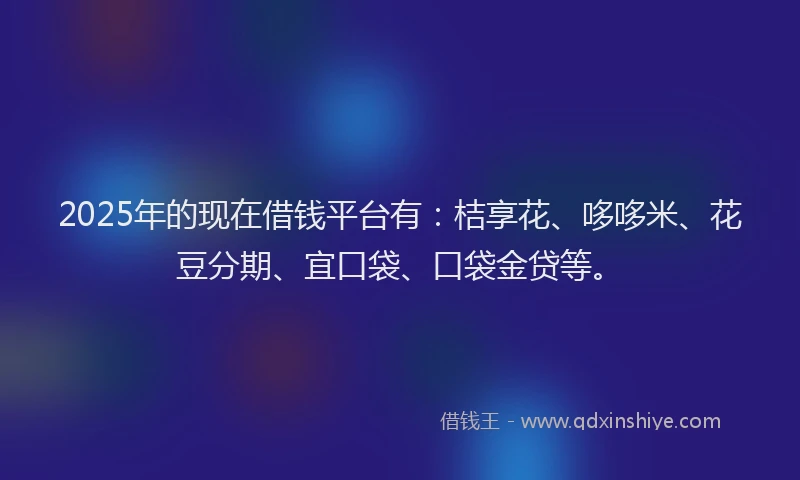2025年的现在借钱平台有：桔享花、哆哆米、花豆分期、宜口袋、口袋金贷等。