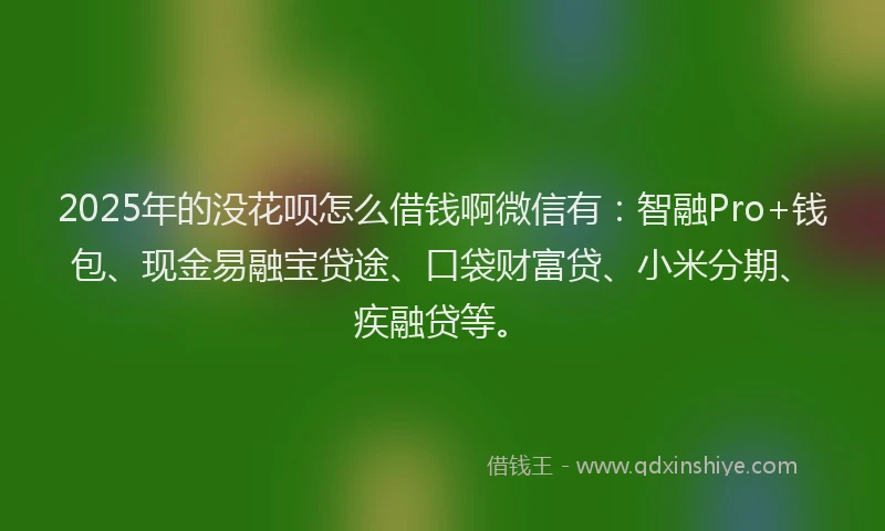2025年的没花呗怎么借钱啊微信有：智融Pro+钱包、现金易融宝贷途、口袋财富贷、小米分期、疾融贷等。