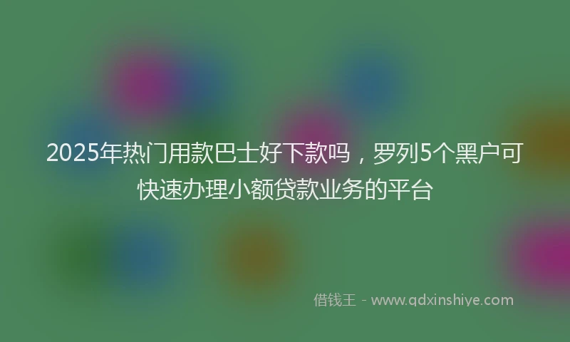 2025年热门用款巴士好下款吗，罗列5个黑户可快速办理小额贷款业务的平台