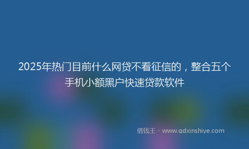 2025年热门目前什么网贷不看征信的，整合五个手机小额黑户快速贷款软件
