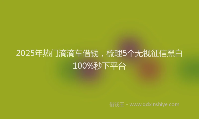 2025年热门滴滴车借钱，梳理5个无视征信黑白100%秒下平台