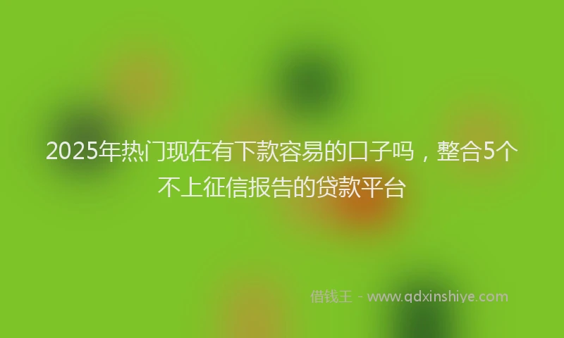 2025年热门现在有下款容易的口子吗，整合5个不上征信报告的贷款平台