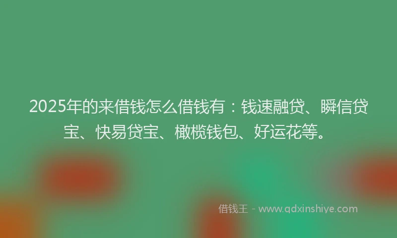 2025年的来借钱怎么借钱有：钱速融贷、瞬信贷宝、快易贷宝、橄榄钱包、好运花等。