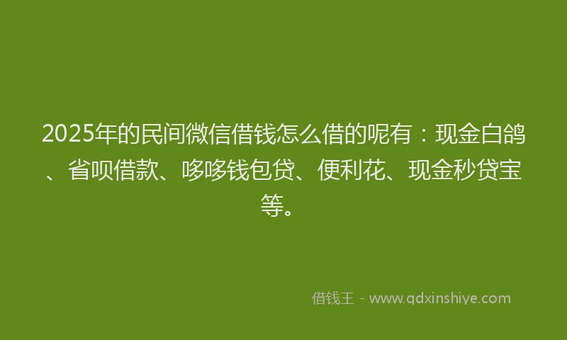 2025年的民间微信借钱怎么借的呢有：现金白鸽、省呗借款、哆哆钱包贷、便利花、现金秒贷宝等。