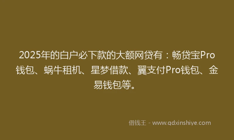 2025年的白户必下款的大额网贷有：畅贷宝Pro钱包、蜗牛租机、星梦借款、翼支付Pro钱包、金易钱包等。