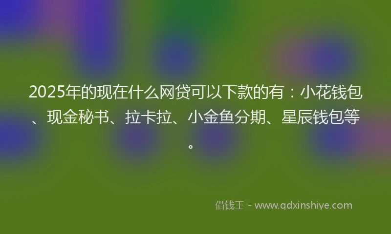 2025年的现在什么网贷可以下款的有：小花钱包、现金秘书、拉卡拉、小金鱼分期、星辰钱包等。