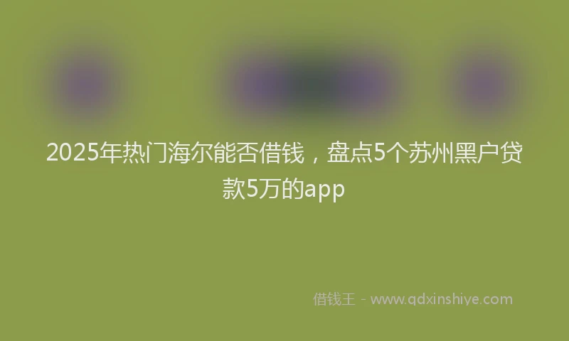 2025年热门海尔能否借钱，盘点5个苏州黑户贷款5万的app