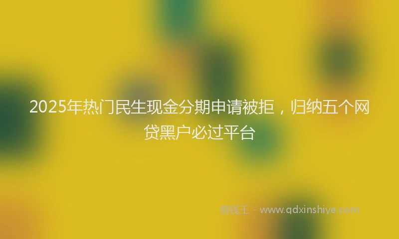 2025年热门民生现金分期申请被拒，归纳五个网贷黑户必过平台