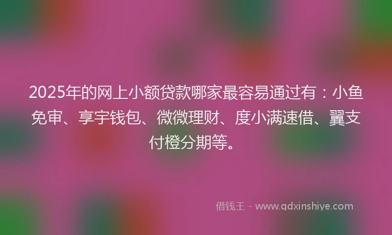 2025年的网上小额贷款哪家最容易通过有：小鱼免审、享宇钱包、微微理财、度小满速借、翼支付橙分期等。