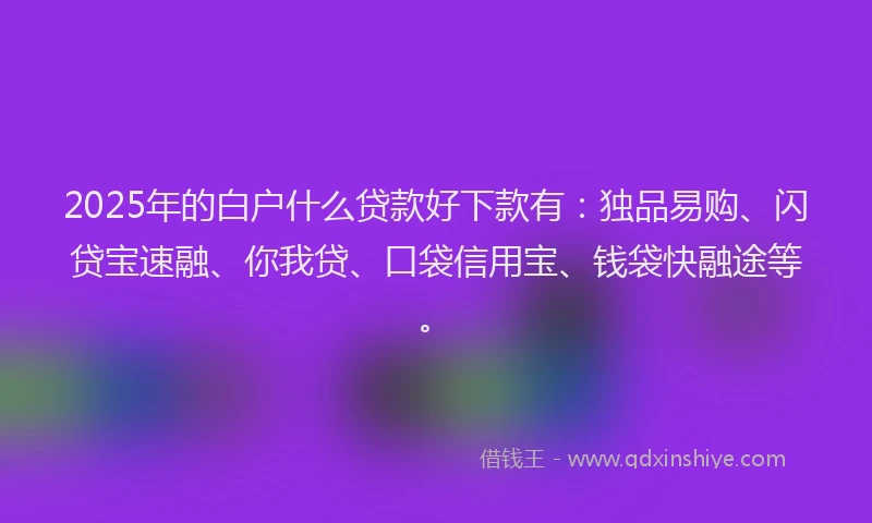 2025年的白户什么贷款好下款有：独品易购、闪贷宝速融、你我贷、口袋信用宝、钱袋快融途等。