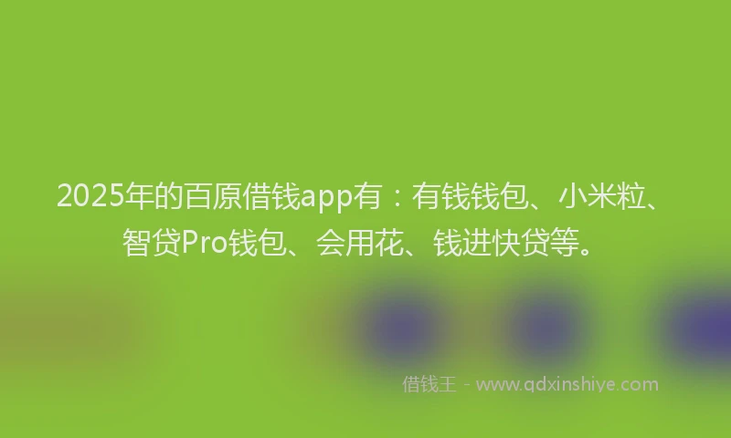 2025年的百原借钱app有：有钱钱包、小米粒、智贷Pro钱包、会用花、钱进快贷等。