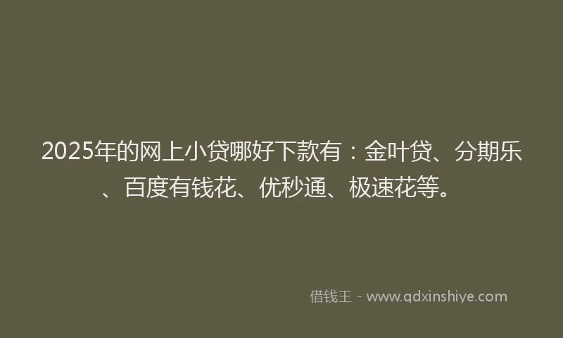 2025年的网上小贷哪好下款有：金叶贷、分期乐、百度有钱花、优秒通、极速花等。
