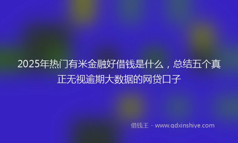 2025年热门有米金融好借钱是什么，总结五个真正无视逾期大数据的网贷口子