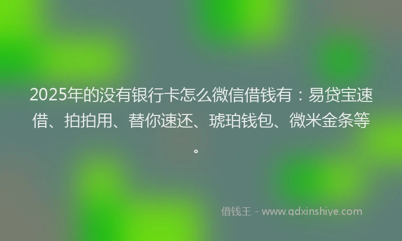 2025年的没有银行卡怎么微信借钱有：易贷宝速借、拍拍用、替你速还、琥珀钱包、微米金条等。