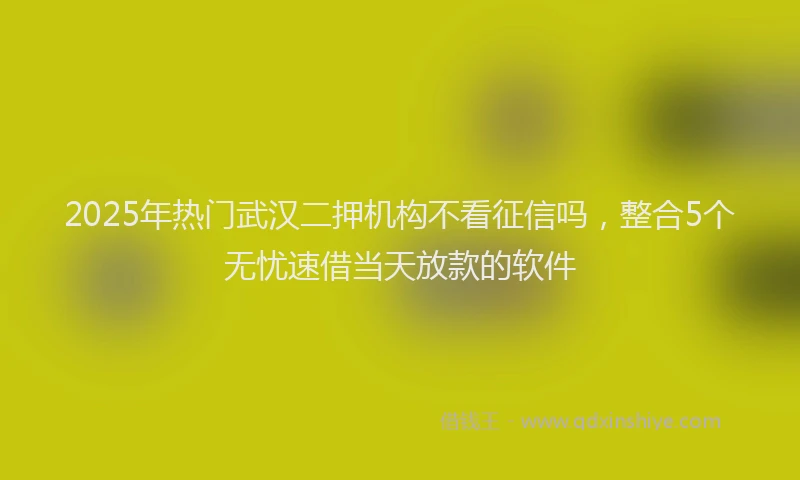 2025年热门武汉二押机构不看征信吗，整合5个无忧速借当天放款的软件