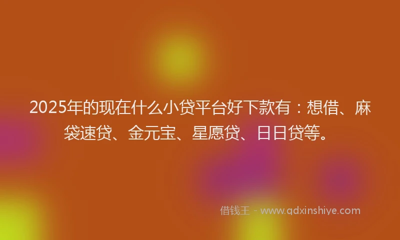 2025年的现在什么小贷平台好下款有：想借、麻袋速贷、金元宝、星愿贷、日日贷等。