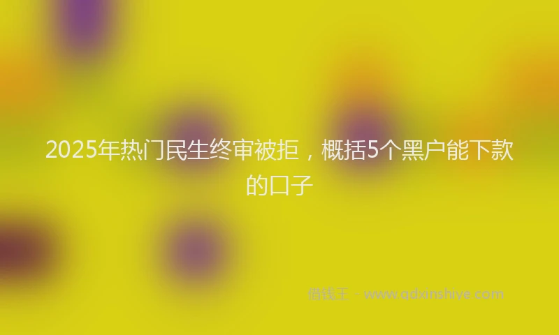 2025年热门民生终审被拒，概括5个黑户能下款的口子