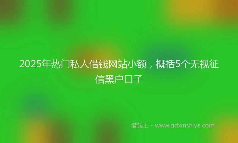 2025年热门私人借钱网站小额，概括5个无视征信黑户口子