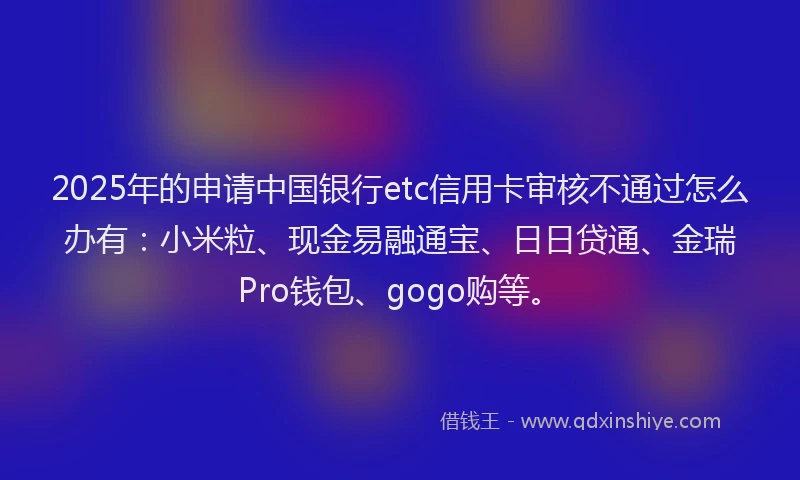 2025年的申请中国银行etc信用卡审核不通过怎么办有：小米粒、现金易融通宝、日日贷通、金瑞Pro钱包、gogo购等。