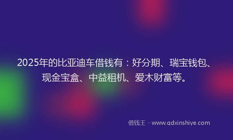 2025年的比亚迪车借钱有：好分期、瑞宝钱包、现金宝盒、中益租机、爱木财富等。