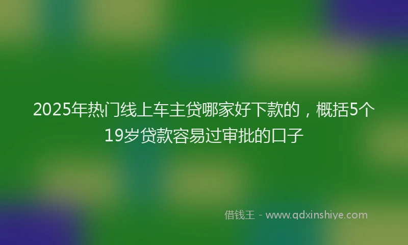 2025年热门线上车主贷哪家好下款的，概括5个19岁贷款容易过审批的口子