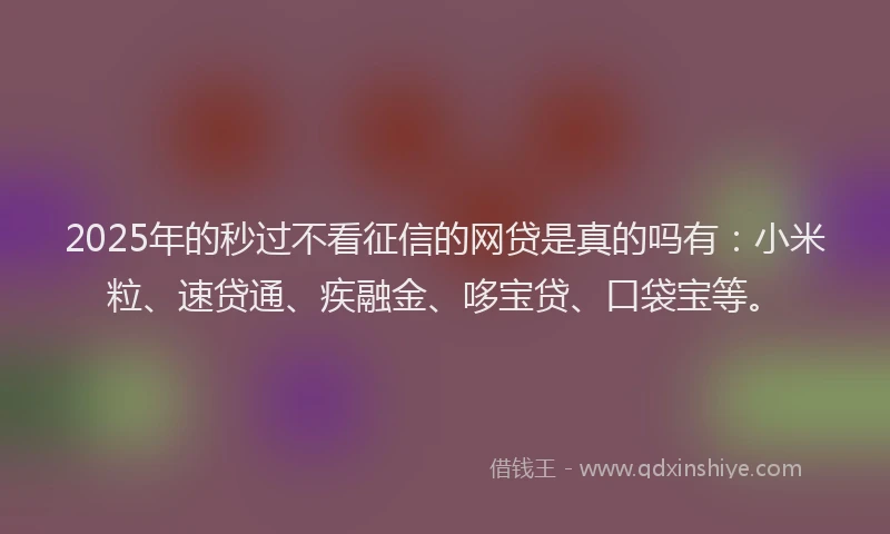 2025年的秒过不看征信的网贷是真的吗有：小米粒、速贷通、疾融金、哆宝贷、口袋宝等。