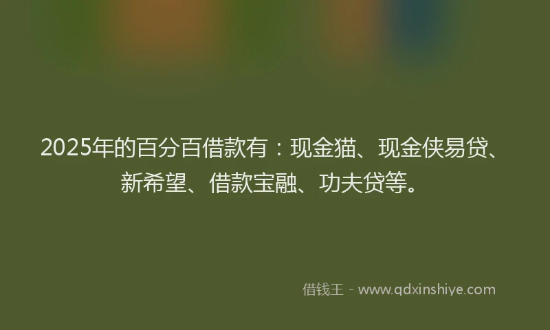 2025年的百分百借款有：现金猫、现金侠易贷、新希望、借款宝融、功夫贷等。