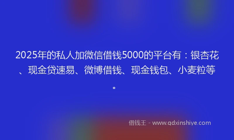2025年的私人加微信借钱5000的平台有：银杏花、现金贷速易、微博借钱、现金钱包、小麦粒等。