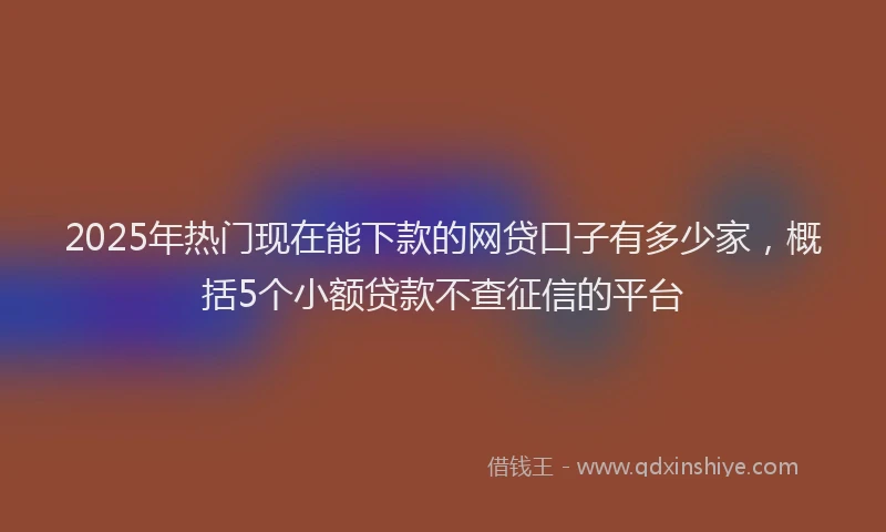 2025年热门现在能下款的网贷口子有多少家，概括5个小额贷款不查征信的平台