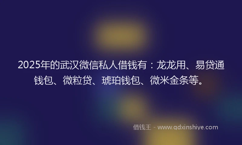 2025年的武汉微信私人借钱有：龙龙用、易贷通钱包、微粒贷、琥珀钱包、微米金条等。