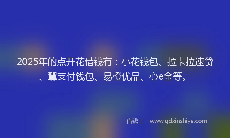 2025年的点开花借钱有：小花钱包、拉卡拉速贷、翼支付钱包、易橙优品、心e金等。