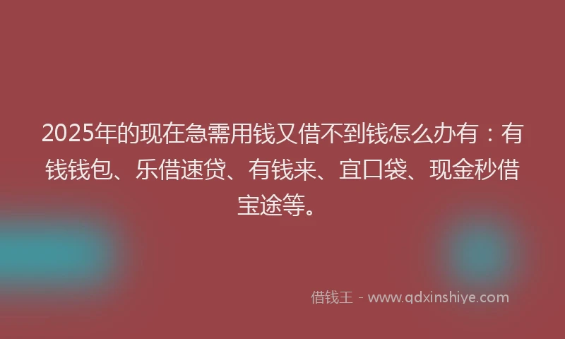 2025年的现在急需用钱又借不到钱怎么办有：有钱钱包、乐借速贷、有钱来、宜口袋、现金秒借宝途等。