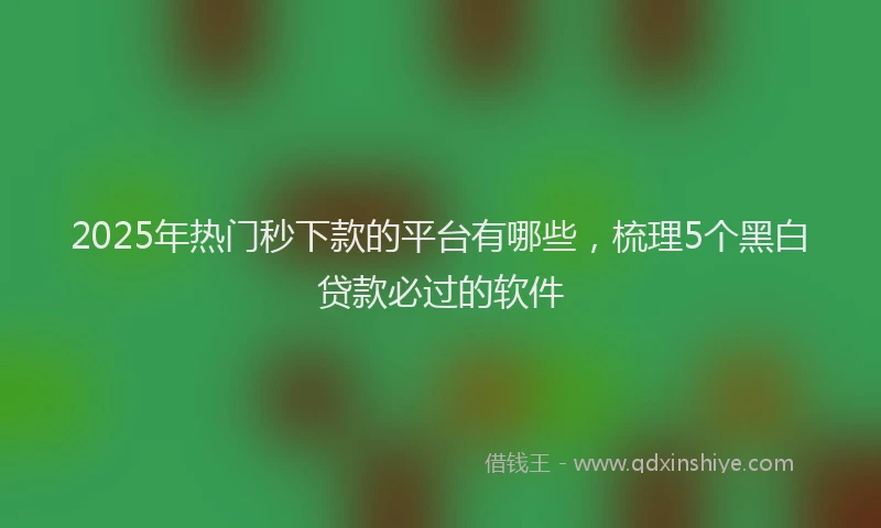 2025年热门秒下款的平台有哪些，梳理5个黑白贷款必过的软件