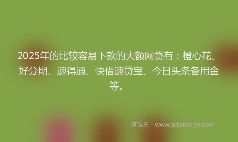 2025年的比较容易下款的大额网贷有：橙心花、好分期、速得通、快借速贷宝、今日头条备用金等。