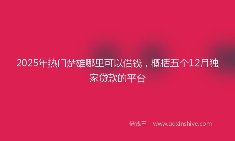 2025年热门楚雄哪里可以借钱，概括五个12月独家贷款的平台