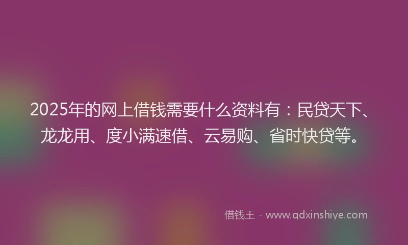 2025年的网上借钱需要什么资料有：民贷天下、龙龙用、度小满速借、云易购、省时快贷等。