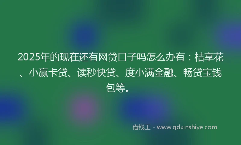 2025年的现在还有网贷口子吗怎么办有：桔享花、小赢卡贷、读秒快贷、度小满金融、畅贷宝钱包等。