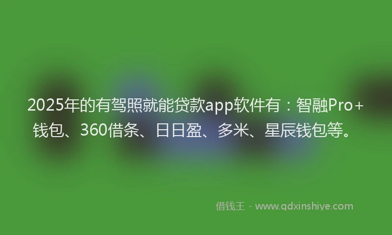 2025年的有驾照就能贷款app软件有：智融Pro+钱包、360借条、日日盈、多米、星辰钱包等。