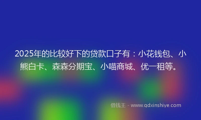 2025年的比较好下的贷款口子有：小花钱包、小熊白卡、森森分期宝、小喵商城、优一租等。