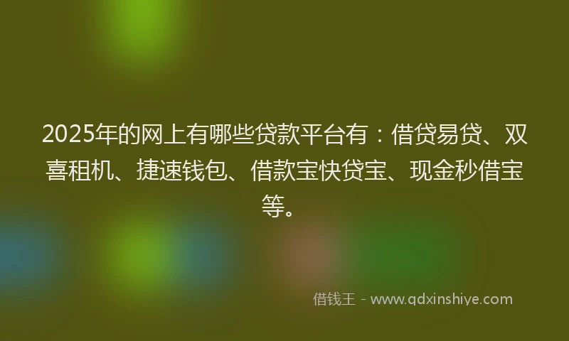 2025年的网上有哪些贷款平台有：借贷易贷、双喜租机、捷速钱包、借款宝快贷宝、现金秒借宝等。