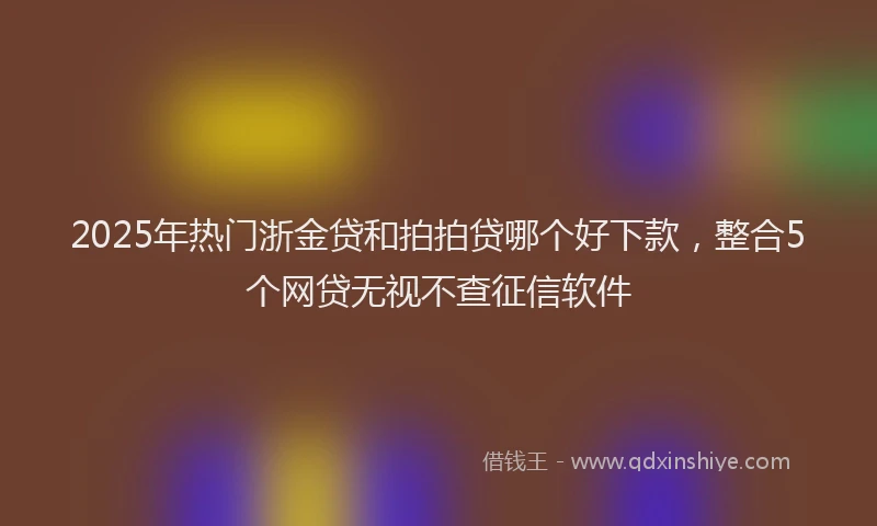 2025年热门浙金贷和拍拍贷哪个好下款，整合5个网贷无视不查征信软件