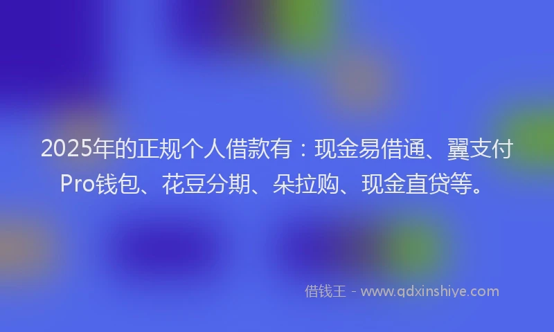 2025年的正规个人借款有：现金易借通、翼支付Pro钱包、花豆分期、朵拉购、现金直贷等。