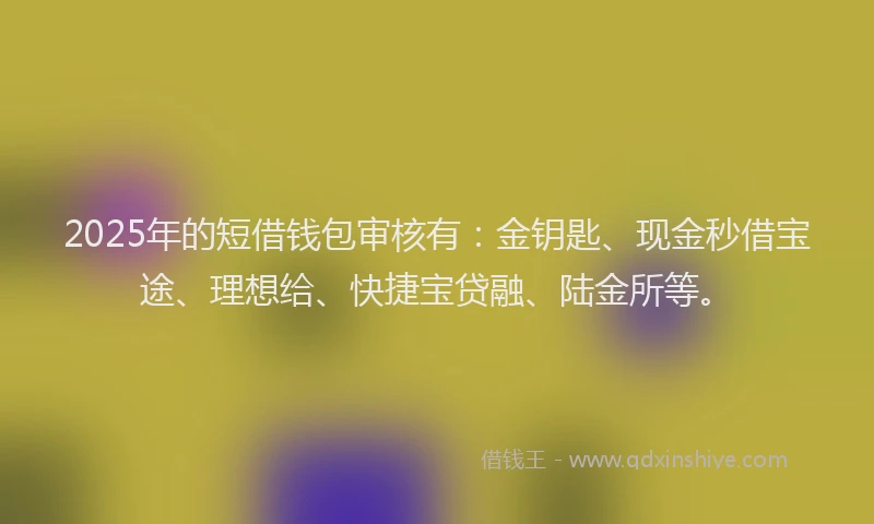 2025年的短借钱包审核有：金钥匙、现金秒借宝途、理想给、快捷宝贷融、陆金所等。