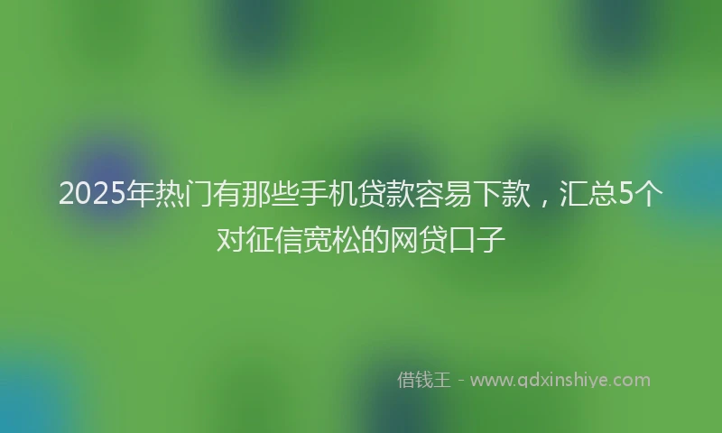 2025年热门有那些手机贷款容易下款，汇总5个对征信宽松的网贷口子