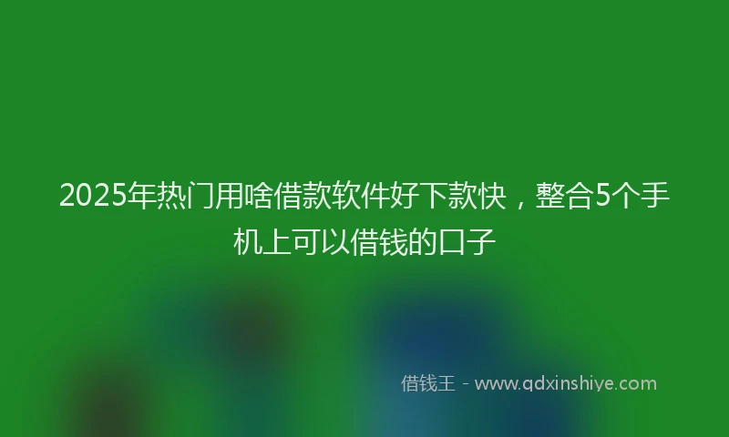 2025年热门用啥借款软件好下款快，整合5个手机上可以借钱的口子