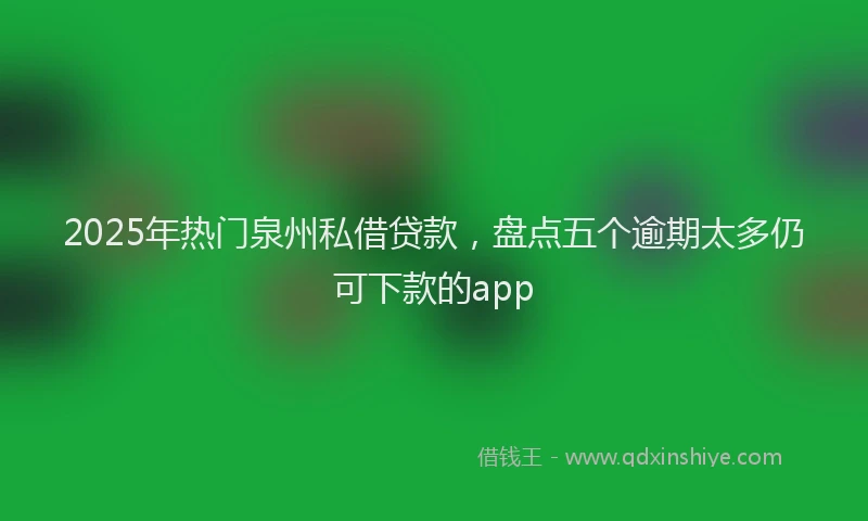 2025年热门泉州私借贷款，盘点五个逾期太多仍可下款的app