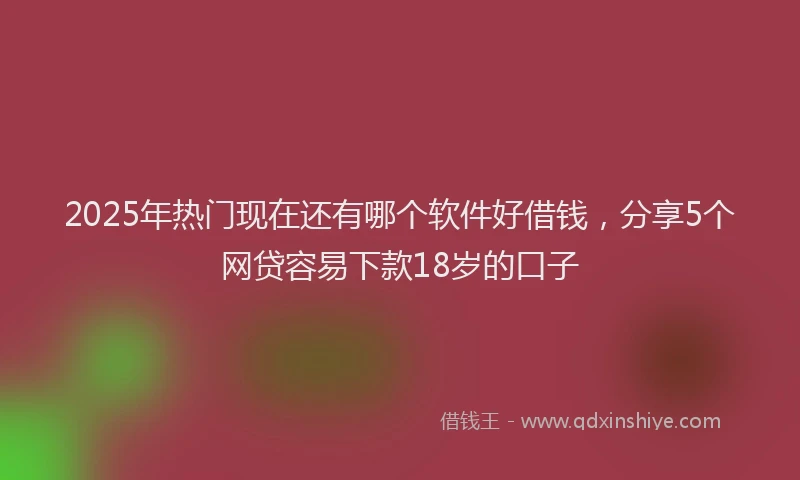2025年热门现在还有哪个软件好借钱，分享5个网贷容易下款18岁的口子