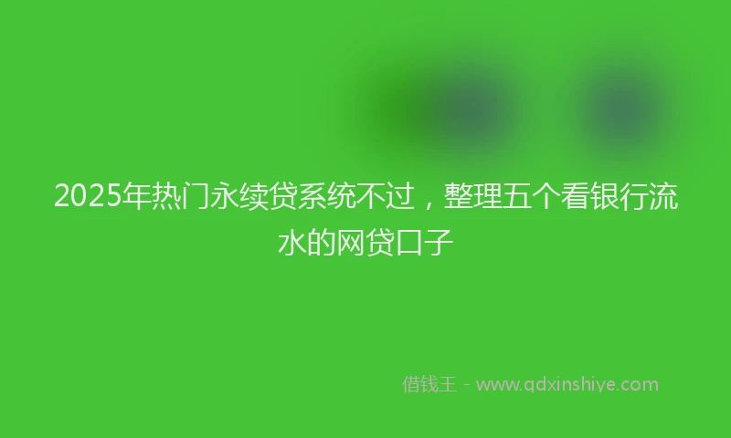 2025年热门永续贷系统不过，整理五个看银行流水的网贷口子